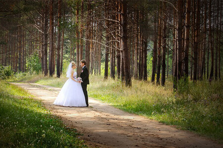Esküvő az erdőben