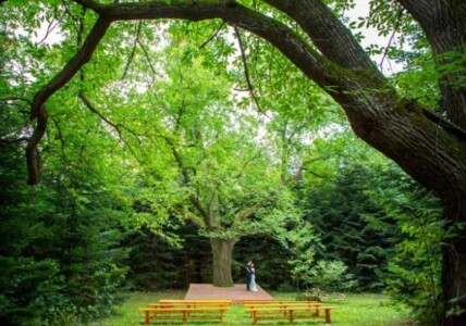 Természetközeli esküvőhelyszínek Budapesten – gyönyörű parkok szabadtéri esküvőkhöz
