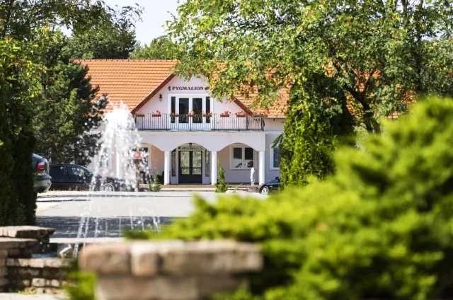 Bodrogi Kúria Wellness Hotel kép 2