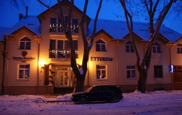 Hotel Platán