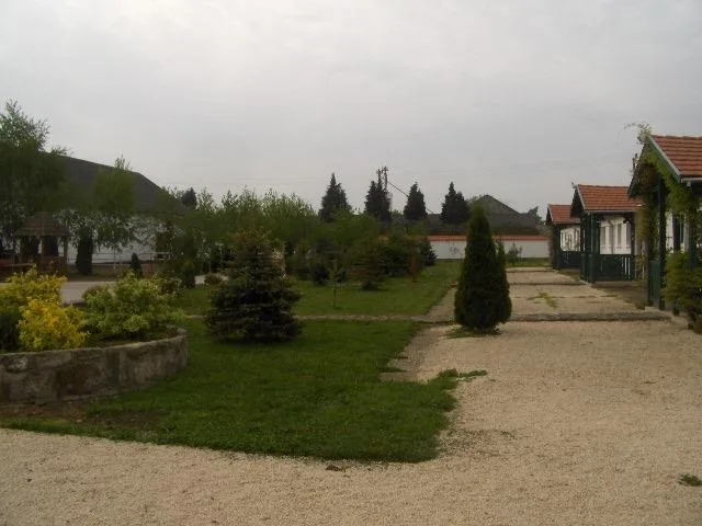 Szabó Tanya kép 2