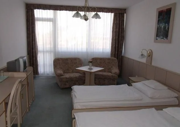 Hotel Bodrog Wellness**** - 5
