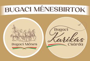 Bónusné Tóth Ilona