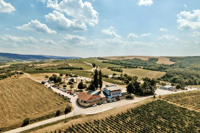 Hilltop Borbirtok kép 1