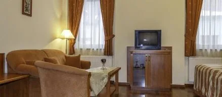 Pannon Hotel Mohács - 5