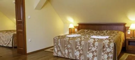 Pannon Hotel Mohács - 4