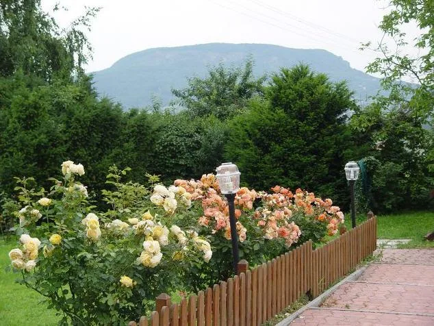 Szent György-Pince és Étterem - 5