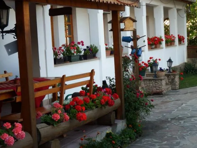 Fekete Kos Hotel kép 0