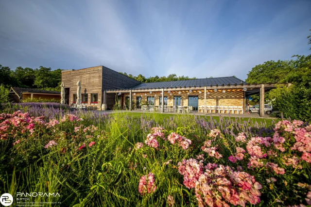 Panoráma Birtok