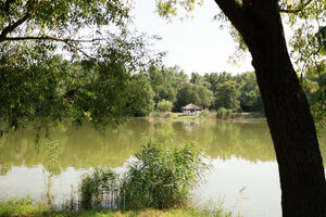 Csodaszarvas Panzió és Tájpark