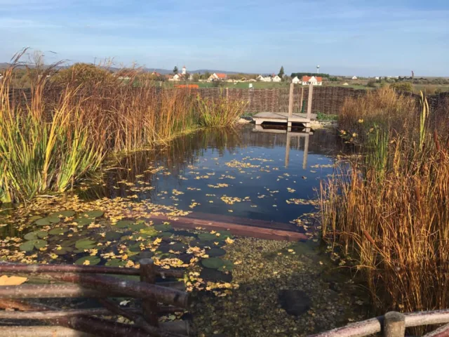 Igásló Látogató Központ - 4
