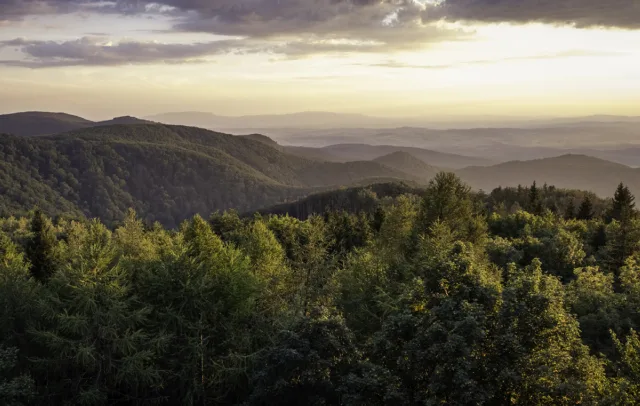 Fehér Sas Panzió Bánkút kép 0