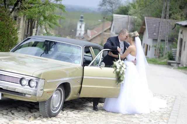 Lucza Családi Borászat kép 1