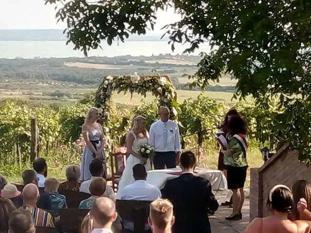 Ábrahám Zsolt Esküvői Dj&Hangulatmester 2010-óta - 5
