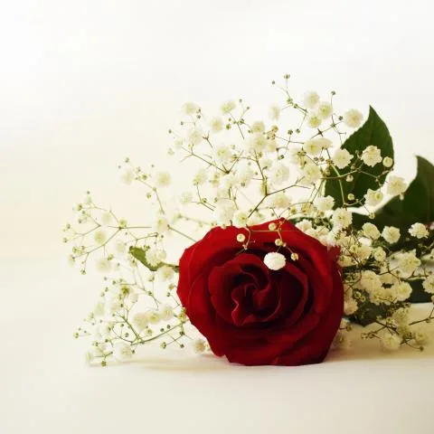 NURE Design - 3