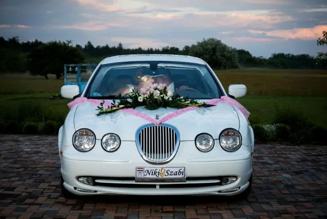 A Hófehér Jaguar kép 1