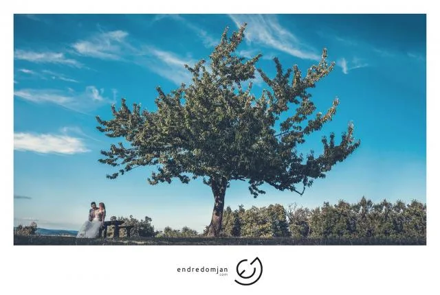 Endre Domján Photographer kép 2