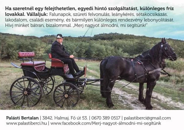 Palásti Bertalan Hivatásos nagyvőfély - 5