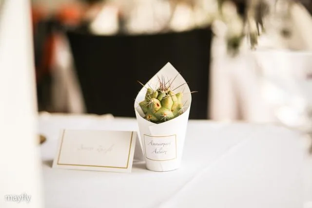 Mayfly-You Are Invited - 1