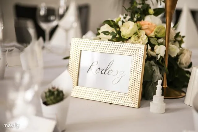 Mayfly-You Are Invited - 2