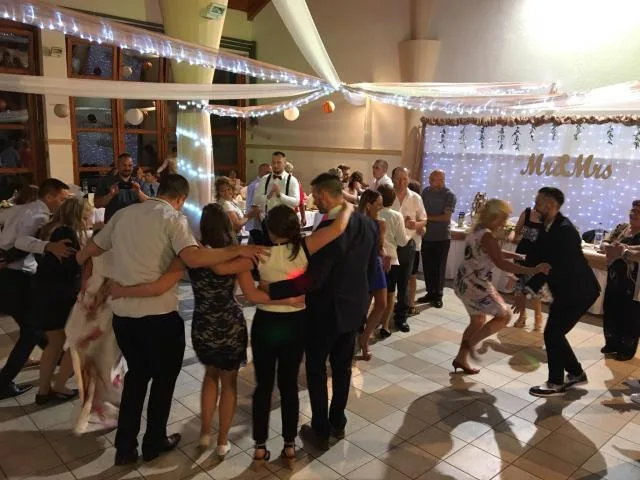 Nagy Dávid esküvői és rendezvény dj - 5