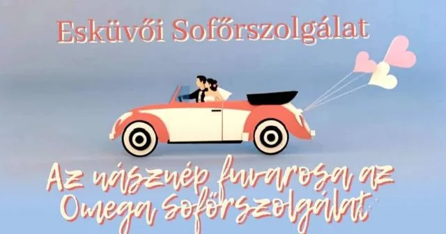 Omega Sofőrszolgálat kép 0