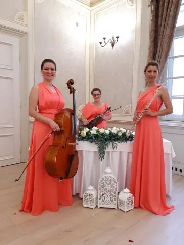 TRIO Harmony Debrecen - 1