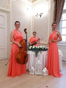 TRIO Harmony Debrecen