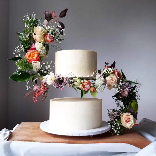Cake Norell - 1