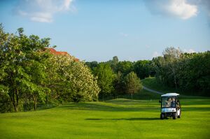 Birdie Wedding, Continental Citygolf Club