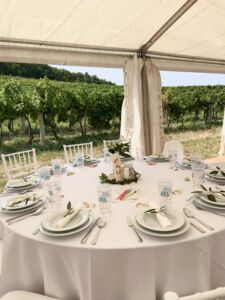 Vineyard Wedding Sopron