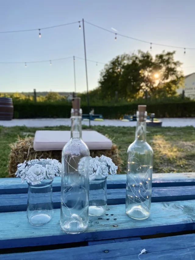 Vineyard Wedding Sopron - 4