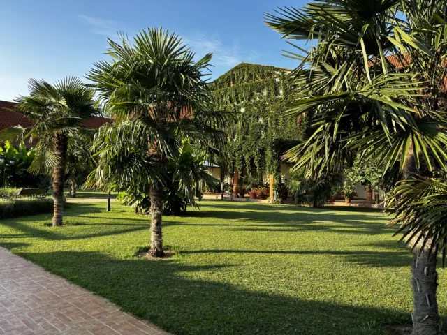 Hotel Vinum**** - 5