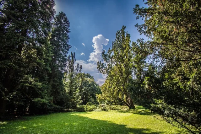 Arborétum Rendezvénypark kép 2
