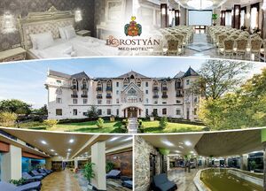 Borostyán Med-Hotel****