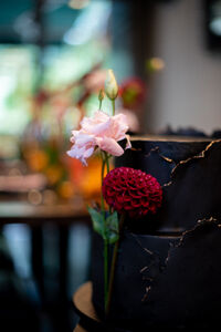 Veranda Grill & Wine