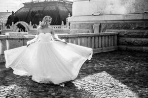 Demoiselle Wedding Photo