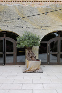 Nap-völgy Borászat és Élménybirtok