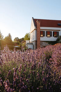 Nap-völgy Borászat és Élménybirtok