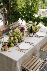 Nap-völgy Borászat és Élménybirtok