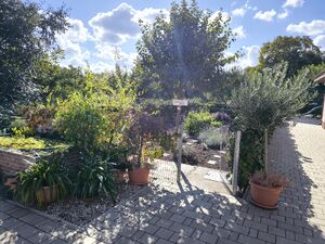 Marsi Zsolt Catering & Az Udvar