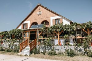 Óhegy-Borház Kovács Családi Pincészet