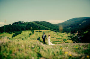 Fülöp László Photography