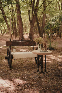 La Rose Vintage Ranch