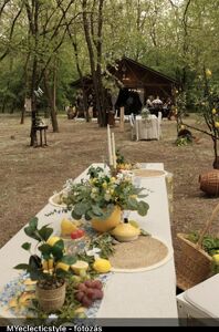 La Rose Vintage Ranch