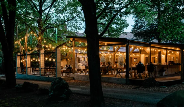 EVENTFOREST by Briquette & Dudok kép 0