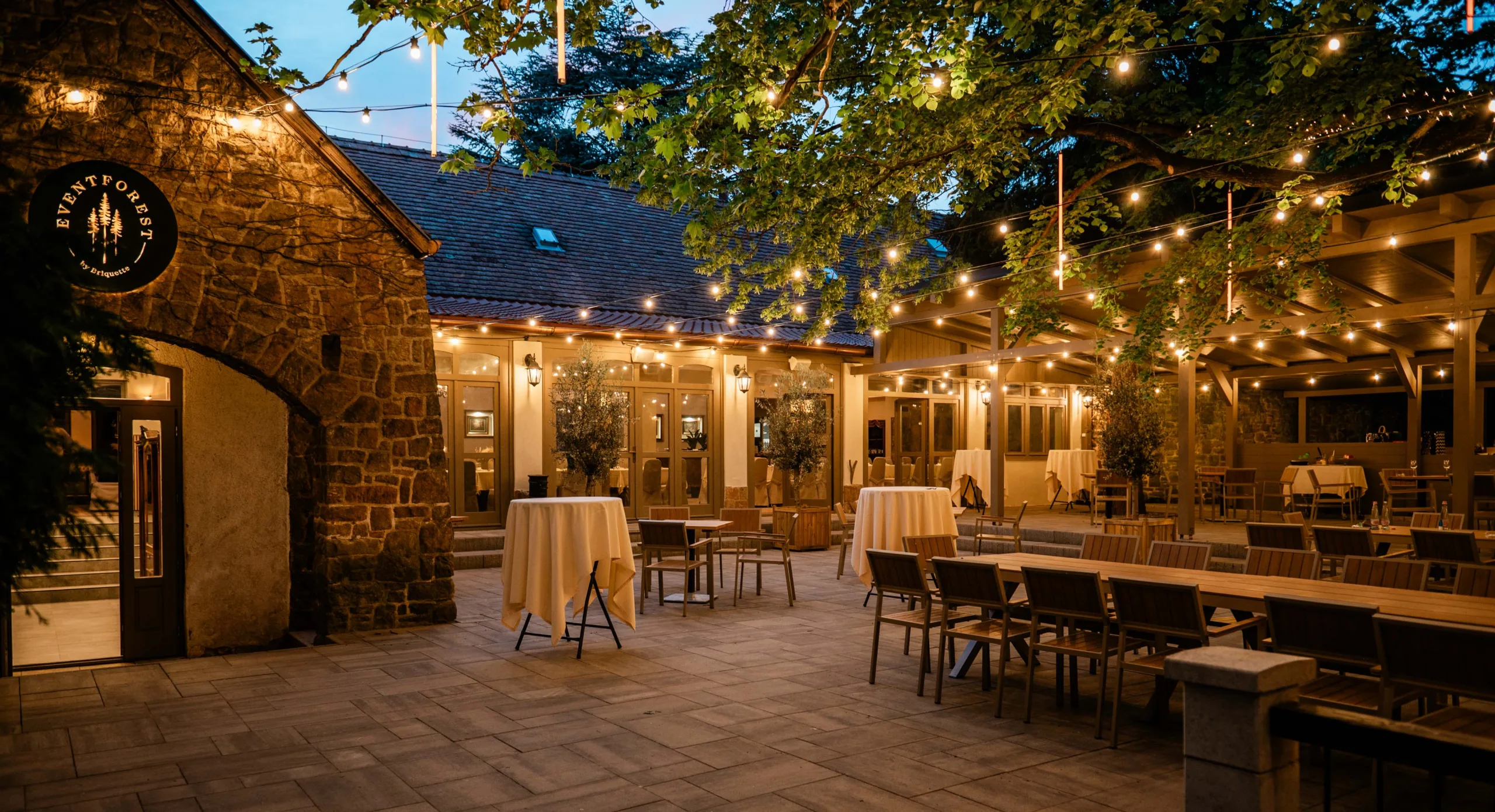 EVENTFOREST by Briquette & Dudok - 0