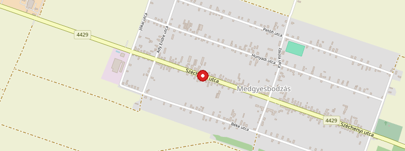 Medgyesbodzás térképe